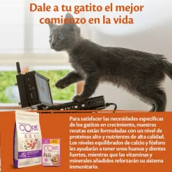 Wellness Core Kitten Pollo en Paté sobre para gatitos Discount
