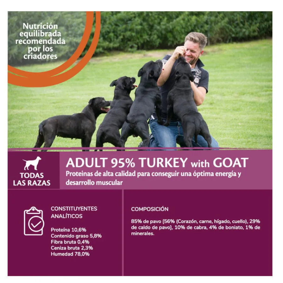 Wellness Core Pavo y Cabra Lata para perros Clearance