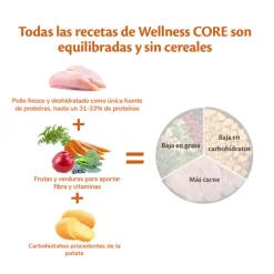 Wellness Core Puppy Large Original Pollo pienso para perros Best