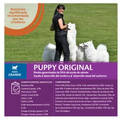 Wellness Core Puppy Large Original Pollo pienso para perros Best