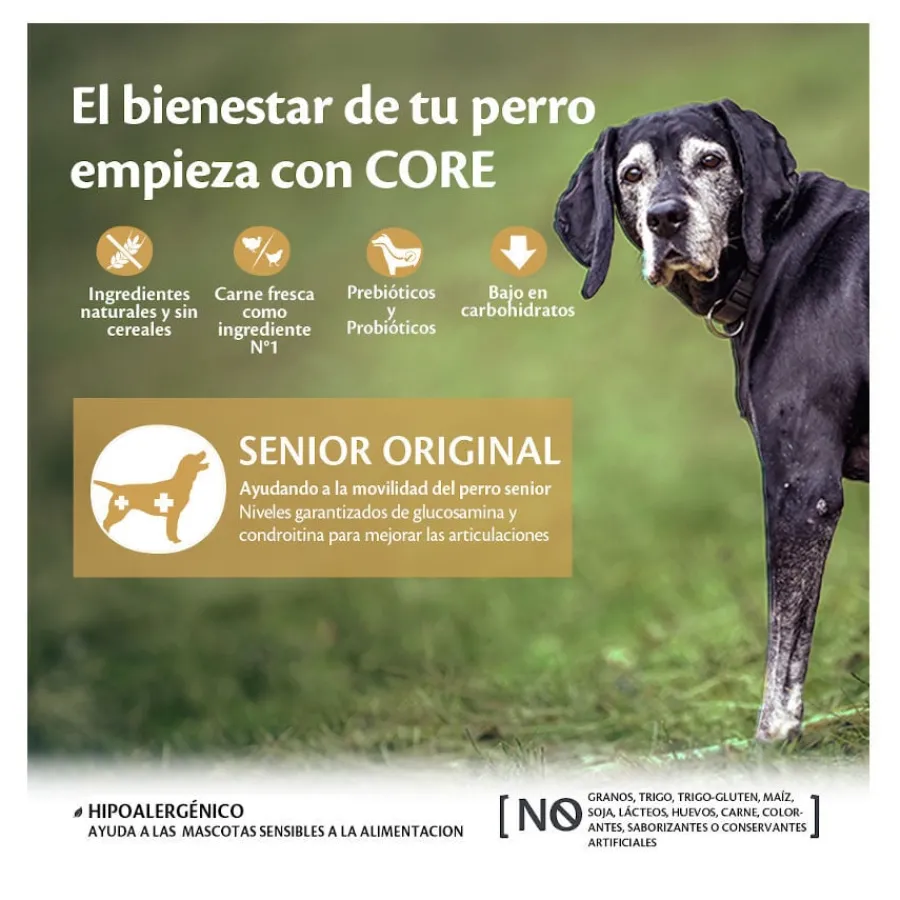 Wellness Core Senior Pollo y Pavo pienso para perros Clearance