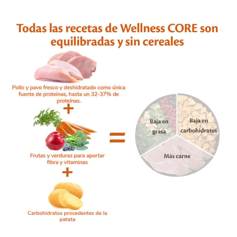 Wellness Core Senior Pollo y Pavo pienso para perros Clearance