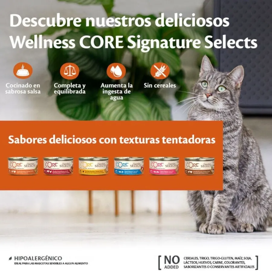 Wellness Core Shredded pollo y pavo lata para gatos Clearance
