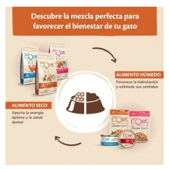 Wellness Core Single Protein Pollo y Jabalí tarrina para gatos Discount