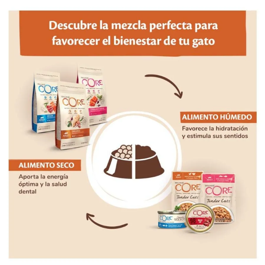 Wellness Core Single Protein Pollo y Jabalí tarrina para gatos Discount