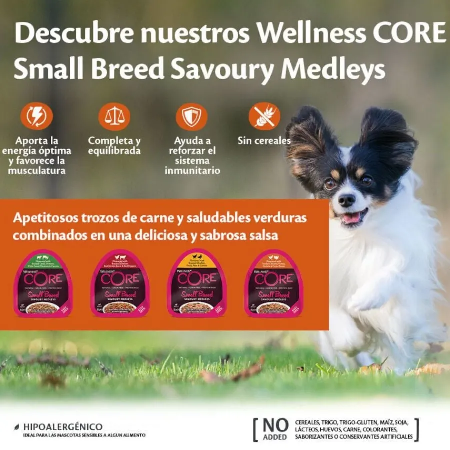 Wellness Core Small Breed Grain Free Cordero y Venado tarrina para perros Best