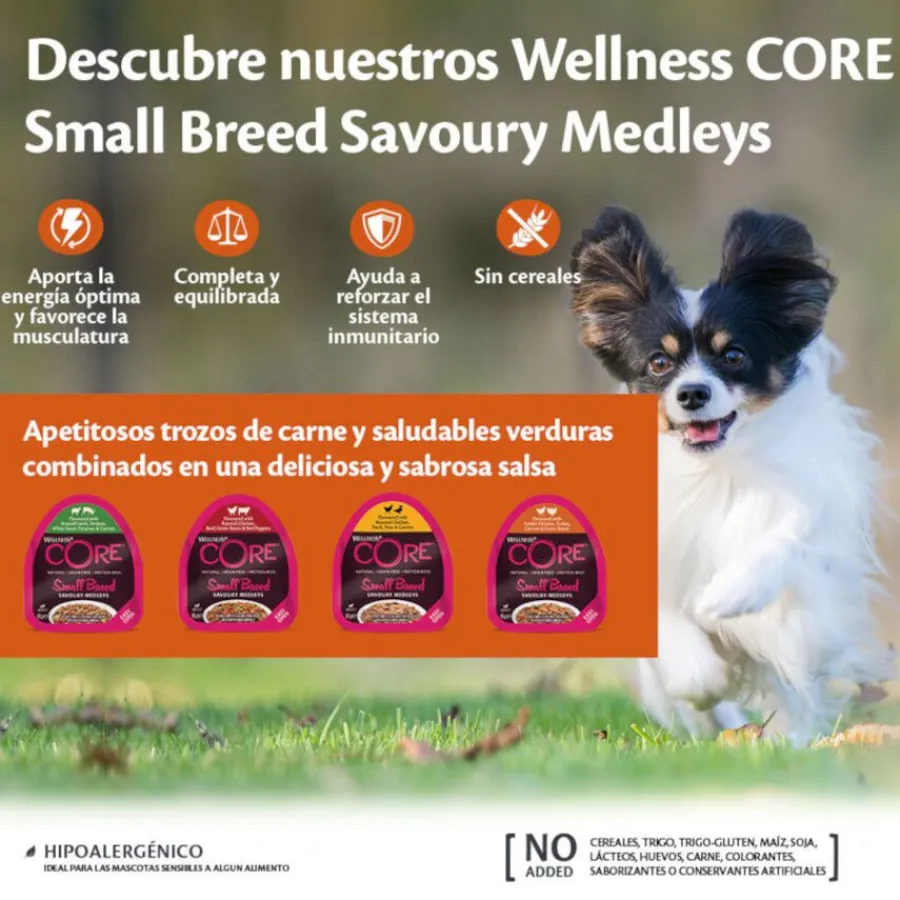 Wellness Core Small Breed Grain Free Pollo y Ternera tarrina para perros Discount