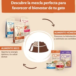 Wellness Core Tender Cuts atún sobre en salsa para gatos Clearance