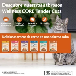 Wellness Core Tender Cuts atún sobre en salsa para gatos Clearance
