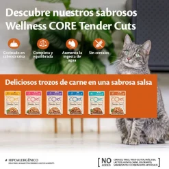 Wellness Core Tender Cuts pollo y pavo sobre en salsa para gatos Sale