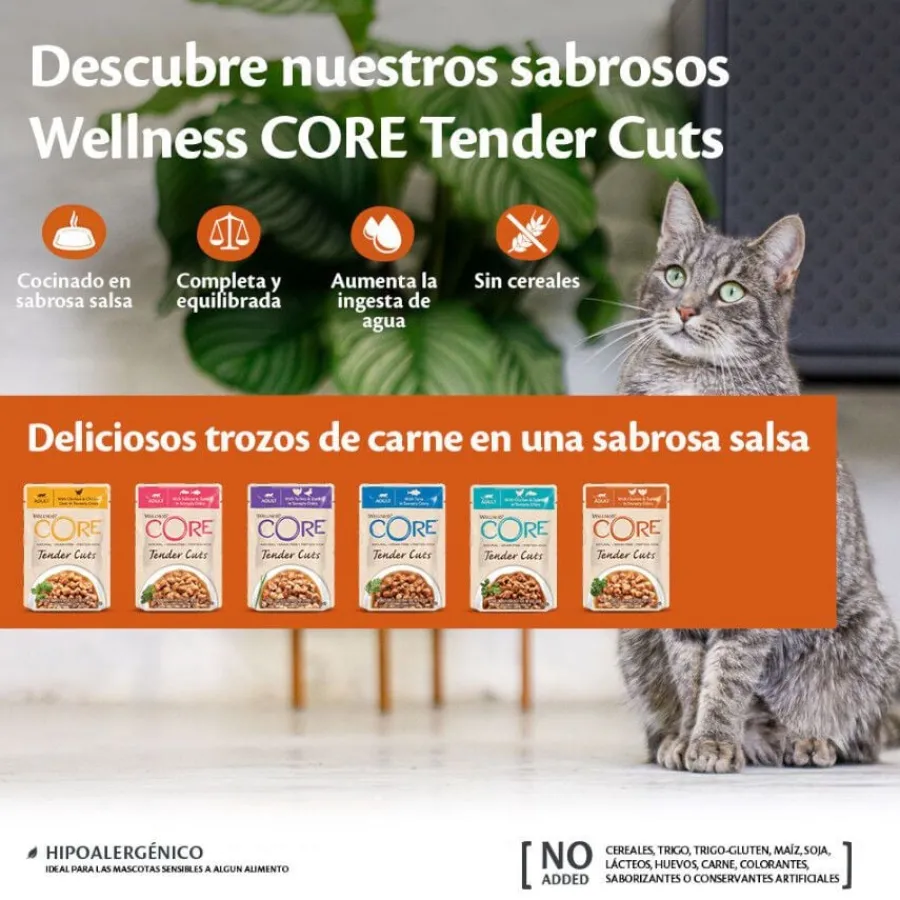 Wellness Core Tender Cuts pollo y pavo sobre en salsa para gatos Sale