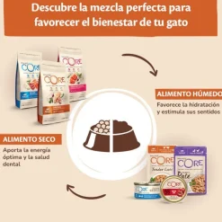 Wellness Core Tender Cuts pollo y pavo sobre en salsa para gatos Sale