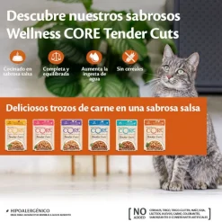 Wellness Core Tender Cuts pollo y salmón sobre en salsa para gatos Hot
