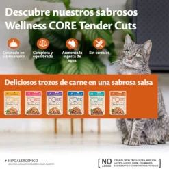 Wellness Core Tender Cuts salmón y atún sobre en salsa para gatos