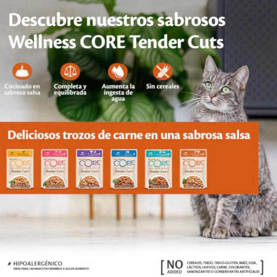 Wellness Core Tender Cuts salmón y atún sobre en salsa para gatos