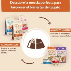 Wellness Core Tender Cuts Pollo Sobre en salsa para gatos Best