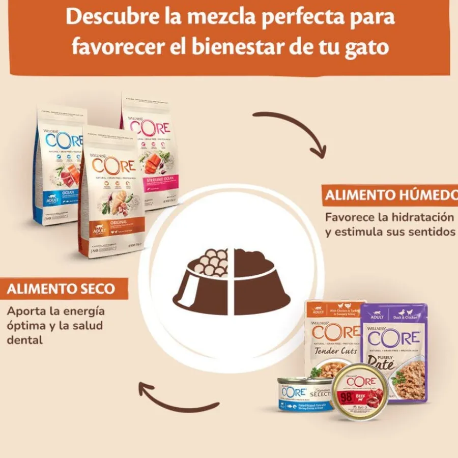 Wellness Core Tender Cuts Pollo Sobre en salsa para gatos Best