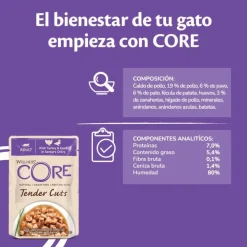 Wellness Core Tender Cuts Pollo y Pato sobre en salsa para gatos Sale