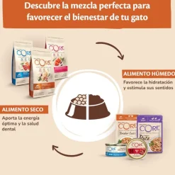 Wellness Core Tender Cuts Pollo y Pato sobre en salsa para gatos Sale