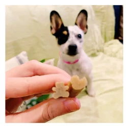 Whimzees Puppy XS/S Snacks Dentales Naturales para cachorros Outlet
