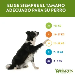 Whimzees Snacks Dentales Cocodrilo para perros de razas medianas