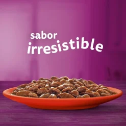 Whiskas Buey y Pollo Salsa en Bolsita para Gatos Adultos Online