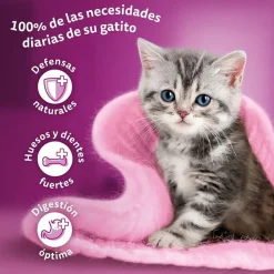 Whiskas Pure Delight Junior Selección Aves Gelatina en Bolsita para gatos Best