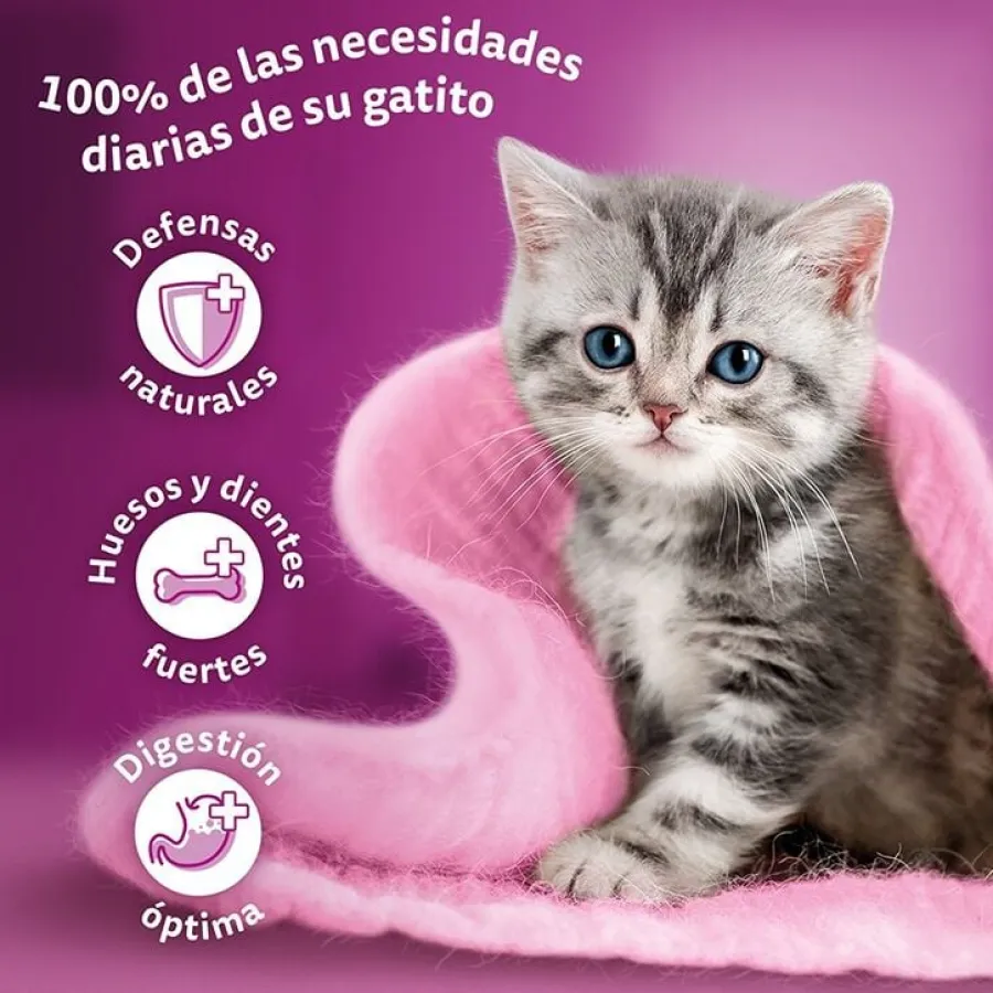 Whiskas Pure Delight Junior Selección Aves Gelatina en Bolsita para gatos Best