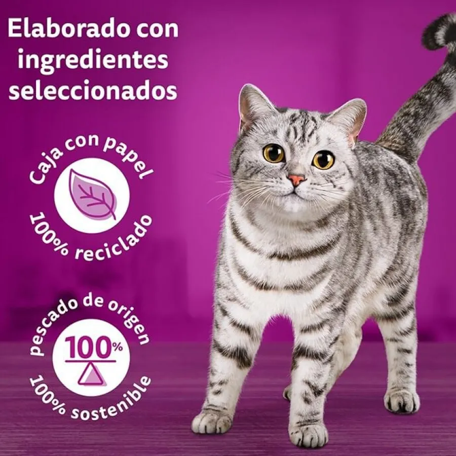 Whiskas Pure Delight Selección Pescados Gelatina en Bolsita para gatos Online