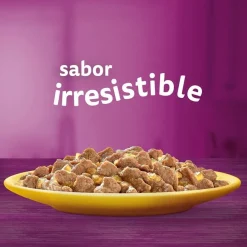 Whiskas Selección Aves Gelatina en Bolsita para Gatos Senior Online