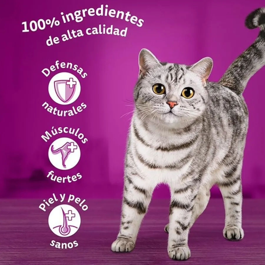 Whiskas Selección Pescados Gelatina en Bolsita para gatos Best