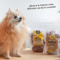 Wild Balance Barf Menú Completo Pack Iniciación comida congelada para perros Online