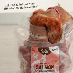 Wild Balance Barf Menú salmón con verduras comida congelada para perros Discount