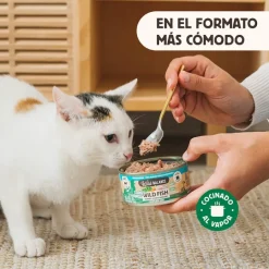 Wild Balance BARF Pescado y Pavo lata para gatos Online