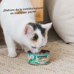 Wild Balance BARF Pescado y Pavo lata para gatos Online