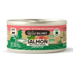 Wild Balance BARF Salmón y Ternera lata para gatos Discount