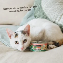 Wild Balance BARF Salmón y Ternera lata para gatos Discount