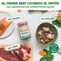 Wild Balance BARF Salmón y Ternera lata para perros Online