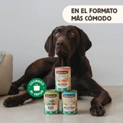 Wild Balance BARF Salmón y Ternera lata para perros Online