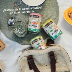 Wild Balance BARF Salmón y Ternera lata para perros Online