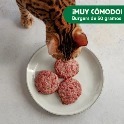Wild Balance Menú Barf pollo con verduras comida congelada para gatos