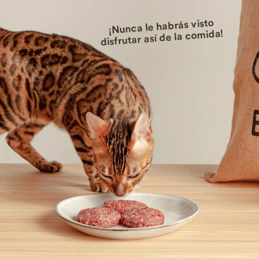 Wild Balance Menú Barf pollo con verduras comida congelada para gatos
