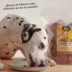 Wild Balance Menú Barf pollo y verduras comida congelada para perros Best
