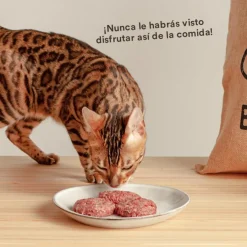 Wild Balance Menú Barf salmón pavo y verduras comida congelada para gatos Hot