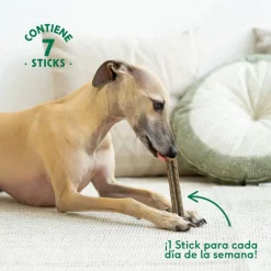 Wild Balance Stick Dentales de Ternera para Perros Hot