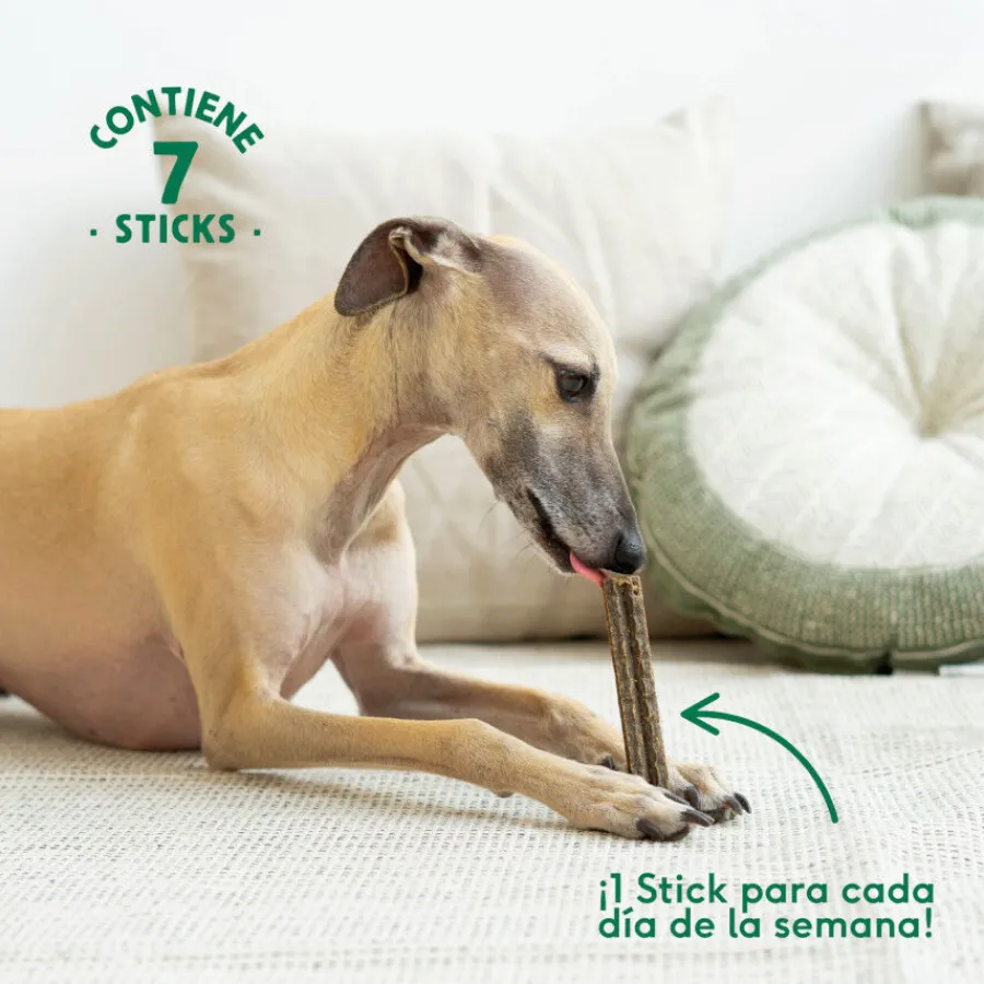 Wild Balance Stick Dentales de Pavo para Perros Hot