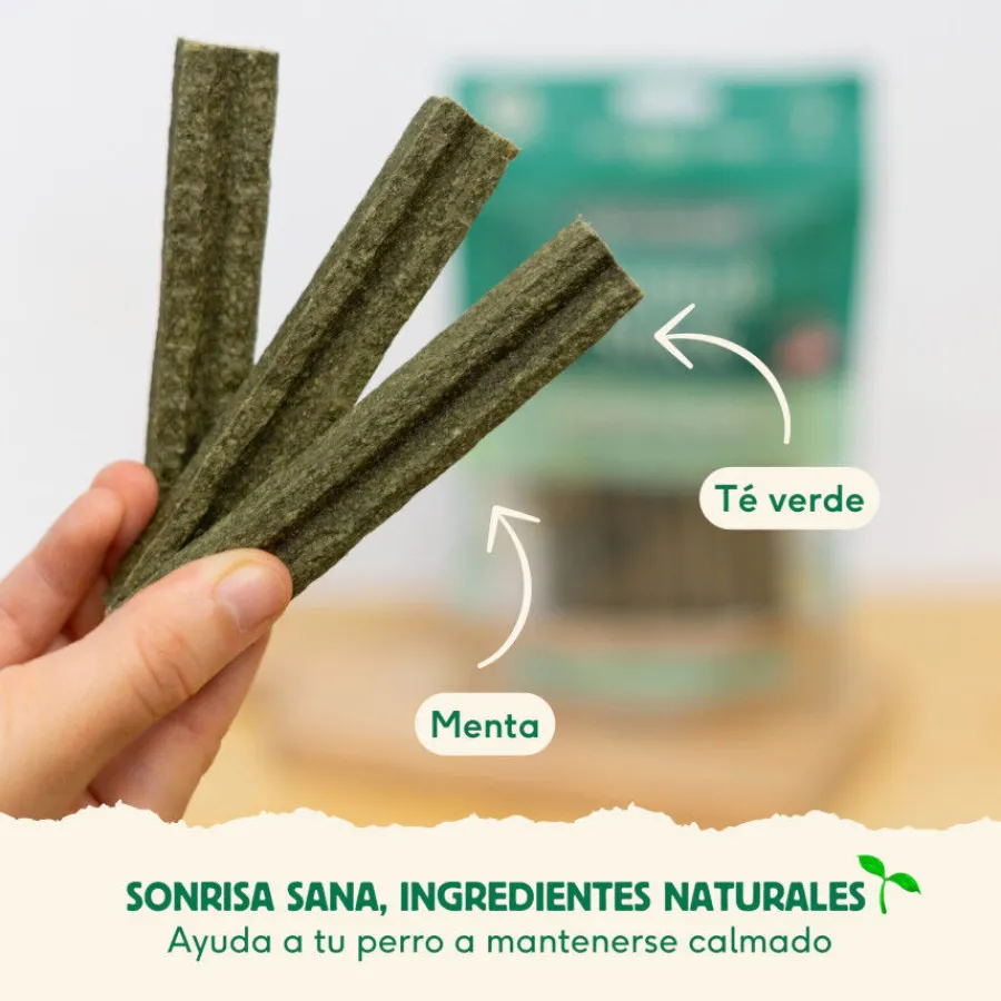 Wild Balance Stick Dentales de Pavo para Perros Hot