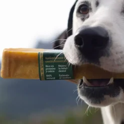 Wild Balance Yaky Barrita Mordedora con Cúrcuma para perros grandes