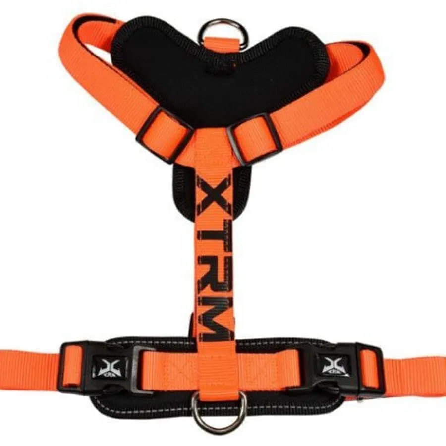 Nayeco X-TRM Cronos Neón Arnés Naranja para perros Online