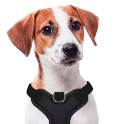 Nayeco X-TRM Cronos Neon Flash Arnés Negro para perros Discount